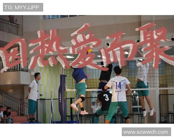 广州排球队个人能力排行榜揭晓排名第九引发热议